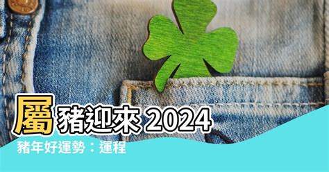 2024 豬 年 運程|屬豬2024運勢丨屬豬增運顏色、開運飾物、犯太歲化解、年份